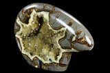 Calcite Crystal Filled, Polished Septarian Bear - Utah #123852-2